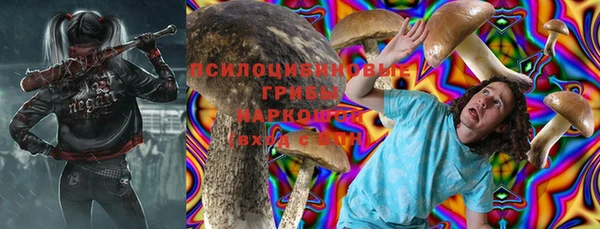ПСИЛОЦИБИНОВЫЕ ГРИБЫ Сатка