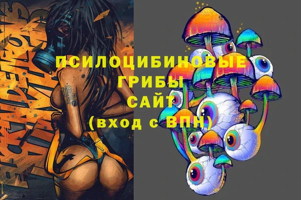 дживик Володарск