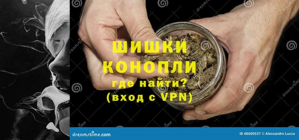 дживик Володарск